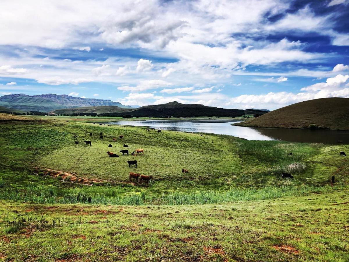 Lake Glencairn Underberg Exterior foto